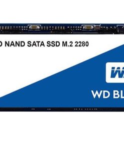 Cứng Ssd Wd 500gb Wds500g2b0b M2 2280 E1537844010221